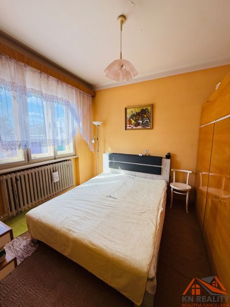 IMG_4955.jpeg