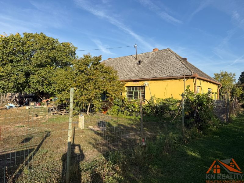 IMG_5500.JPG